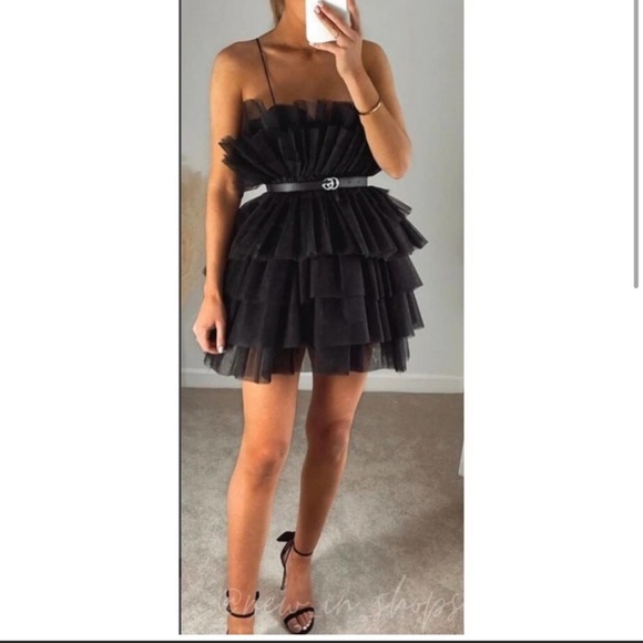 ZARA NYC Ballet Tulle Dress Limited Edition - Picture 2 of 4